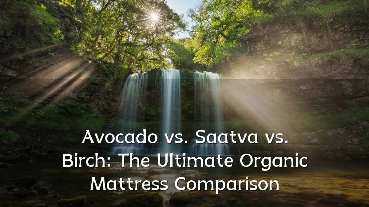 Avocado vs. Saatva vs. Birch: The Ultimate Organic Mattress Comparison