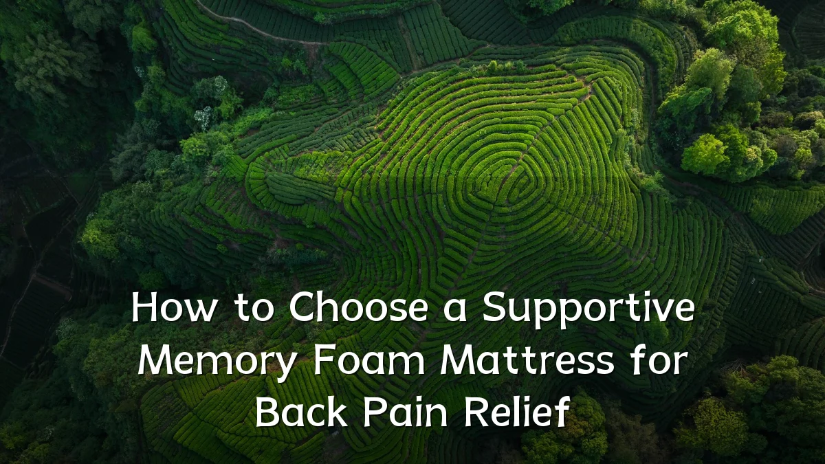 How to Choose a Supportive Memory Foam Mattress for Back Pain Relief