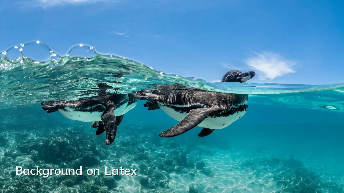 Background on Latex