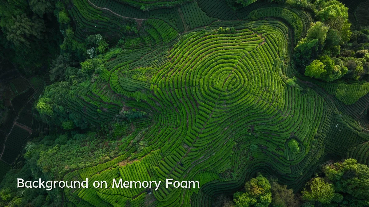 Background on Memory Foam
