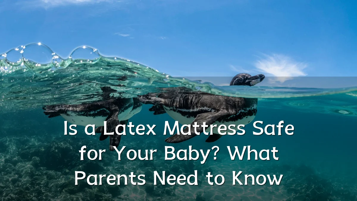 Is a Latex Mattress Safe for Your Baby? What Parents Need to Know