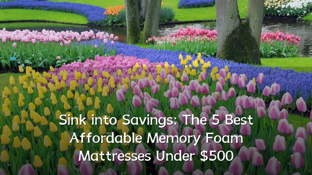 Sink into Savings: The 5 Best Affordable Memory Foam Mattresses Under $500