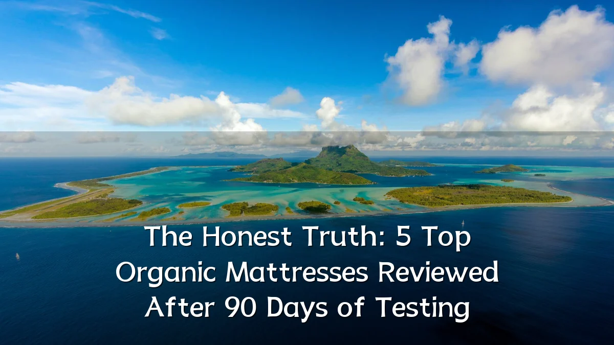 The Honest Truth: 5 Top Organic Mattresses Reviewed After 90 Days of Testing