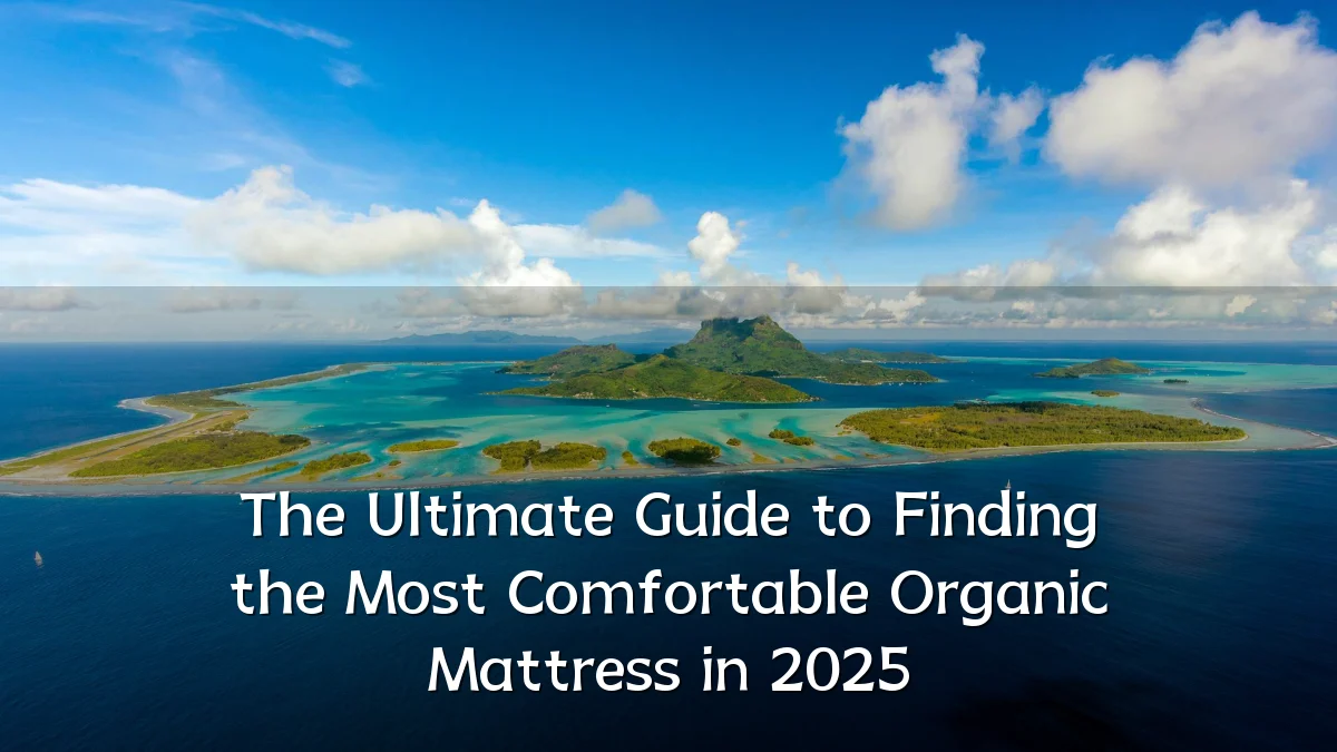 The Ultimate Guide to Finding the Most Comfortable Organic Mattress in 2025
