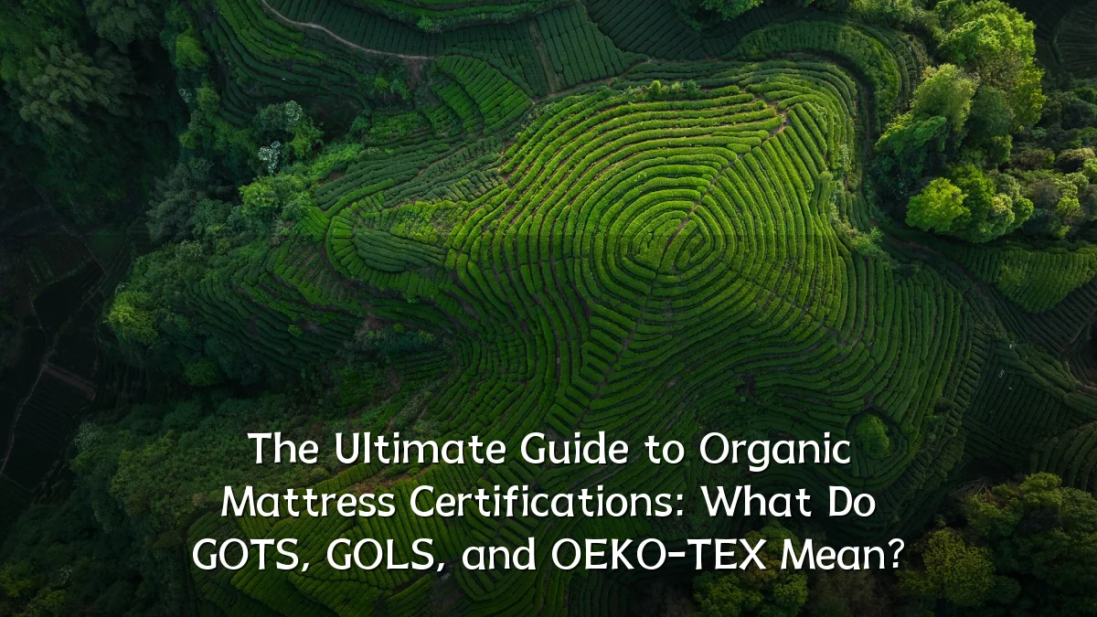 The Ultimate Guide to Organic Mattress Certifications: What Do GOTS, GOLS, and OEKO-TEX Mean?