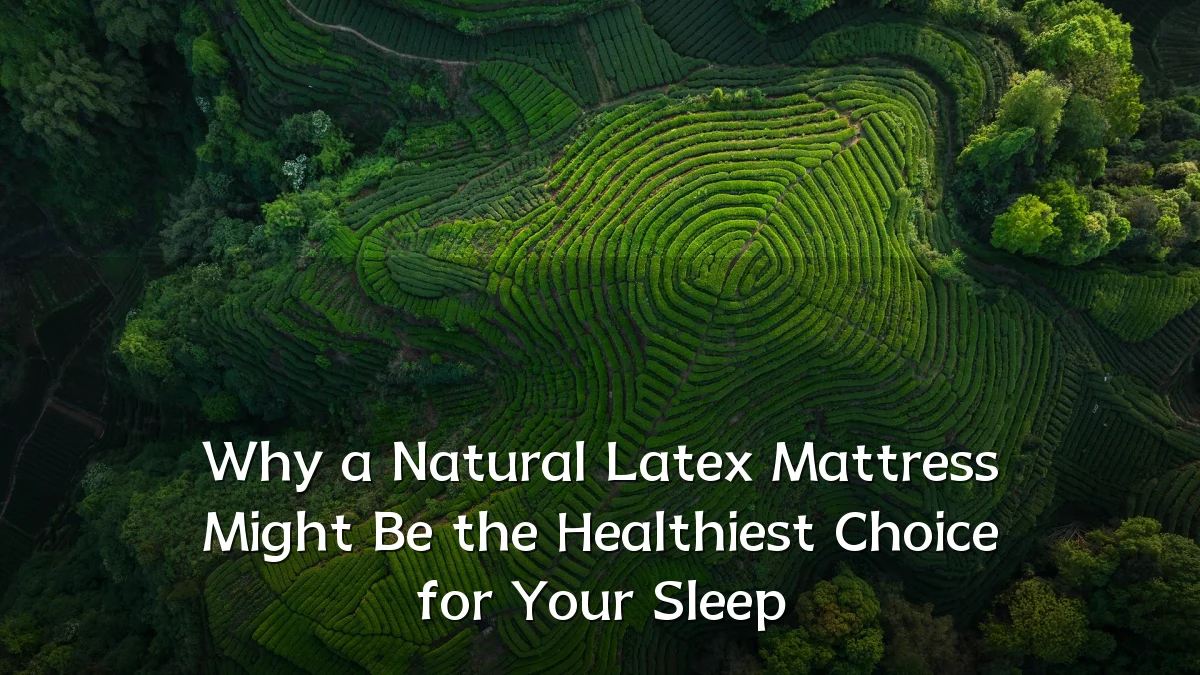 Why a Natural Latex Mattress Might Be the Healthiest Choice for Your Sleep