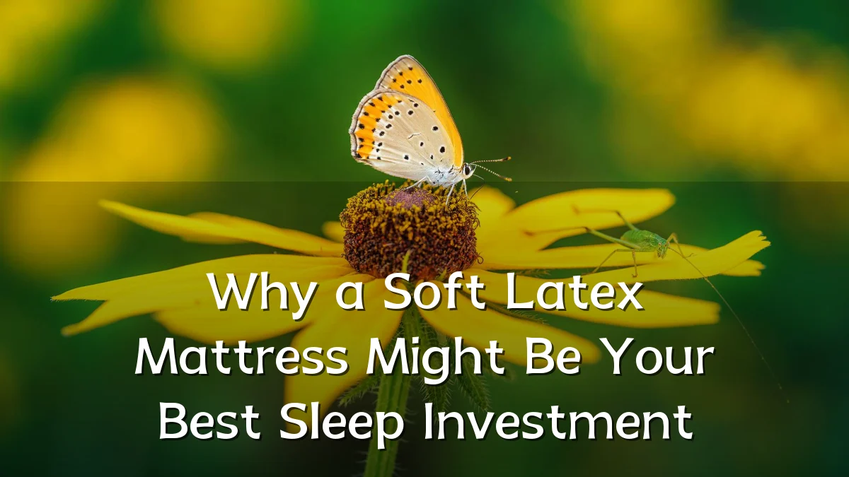 Why a Soft Latex Mattress Might Be Your Best Sleep Investment