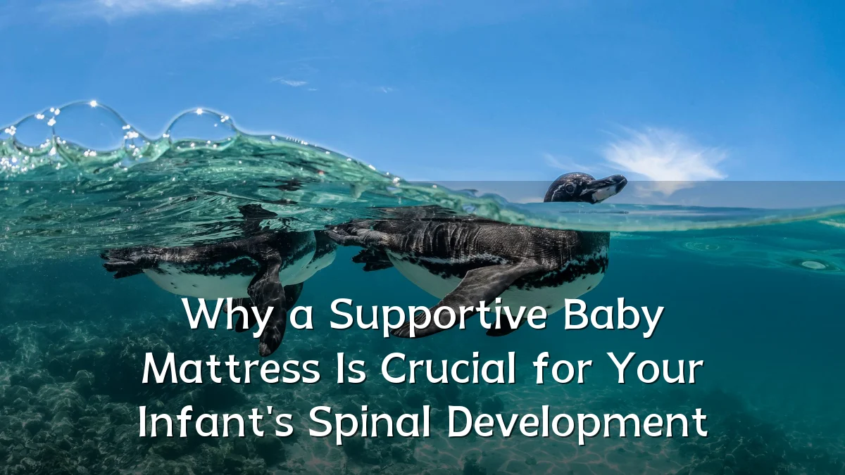 Why a Supportive Baby Mattress Is Crucial for Your Infant's Spinal Development