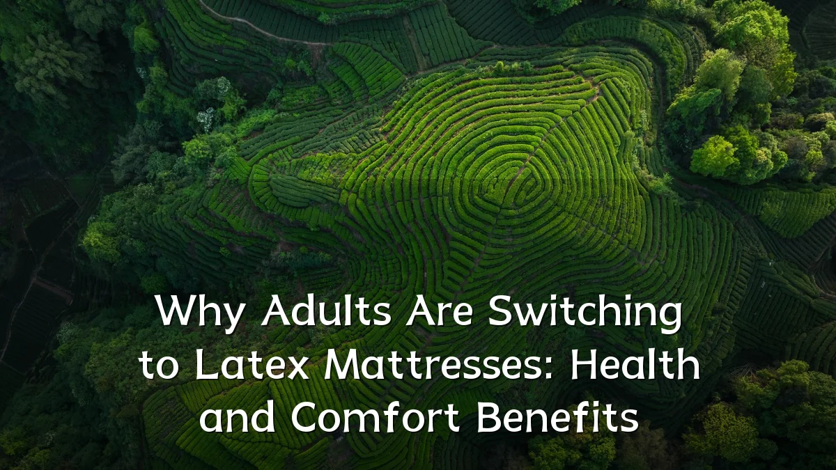 Why Adults Are Switching to Latex Mattresses: Health and Comfort Benefits