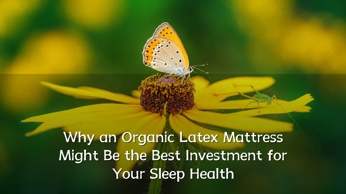 Why an Organic Latex Mattress Might Be the Best Investment for Your Sleep Health