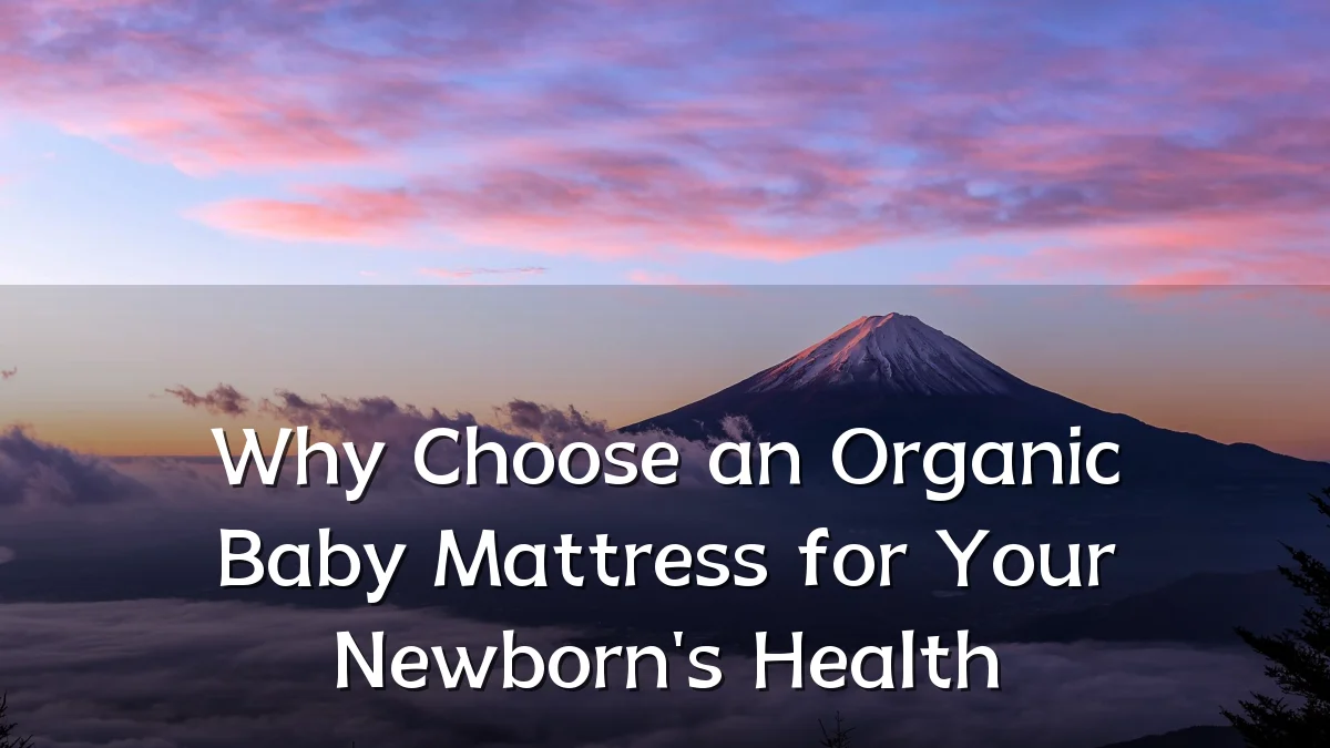 Why Choose an Organic Baby Mattress for Your Newborn's Health