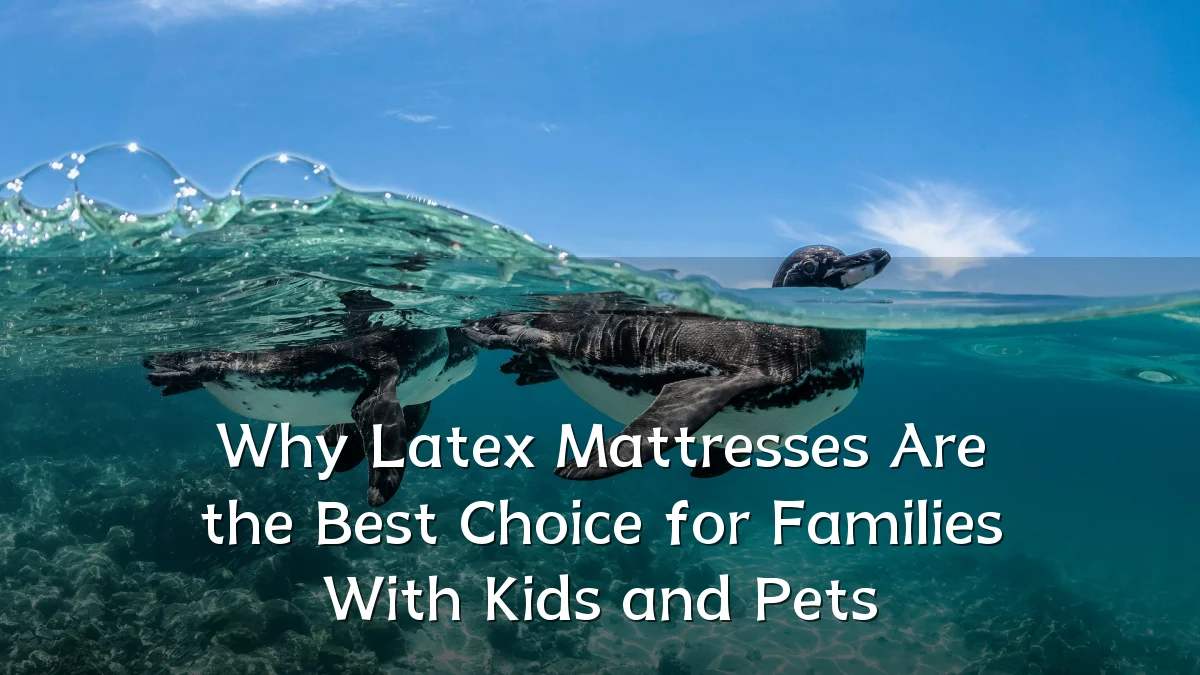 Why Latex Mattresses Are the Best Choice for Families With Kids and Pets