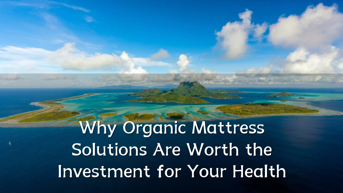 Why Organic Mattress Solutions Are Worth the Investment for Your Health