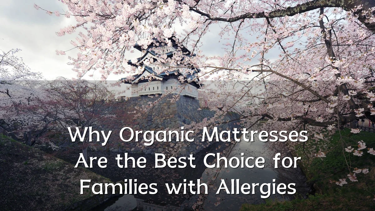Why Organic Mattresses Are the Best Choice for Families with Allergies