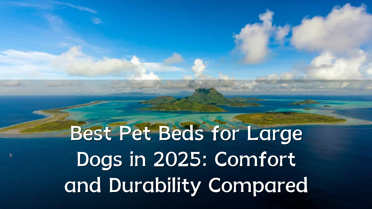 Best Pet Beds for Large Dogs in 2025: Comfort and Durability Compared