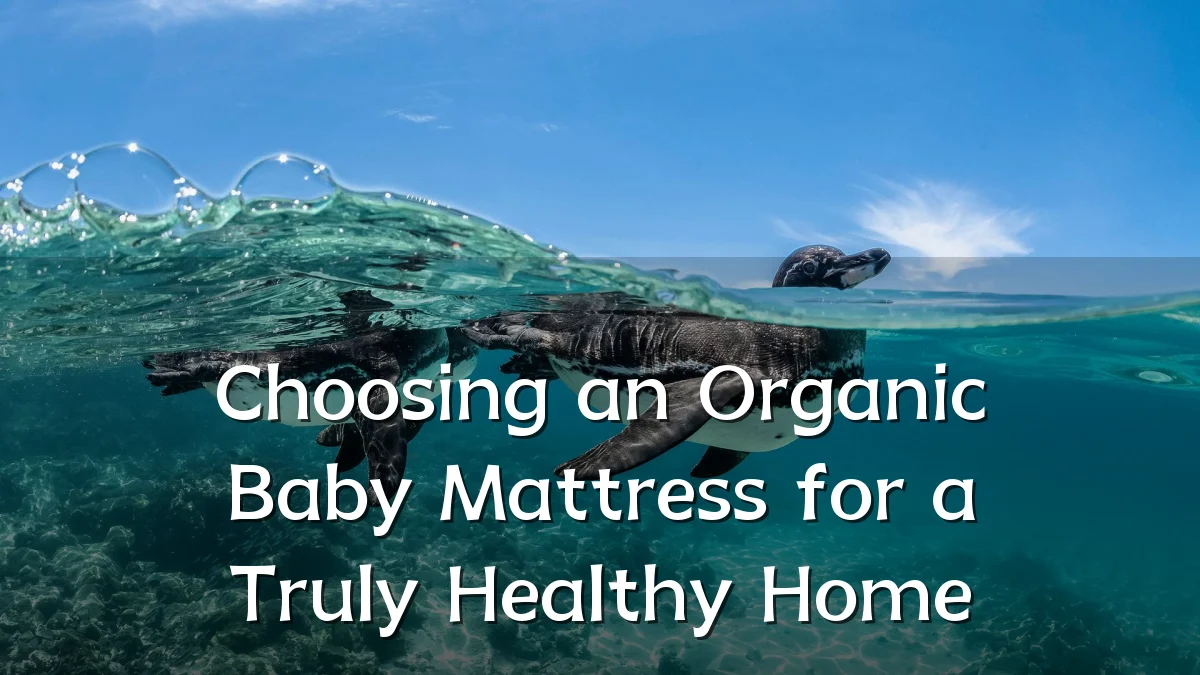 Choosing an Organic Baby Mattress for a Truly Healthy Home