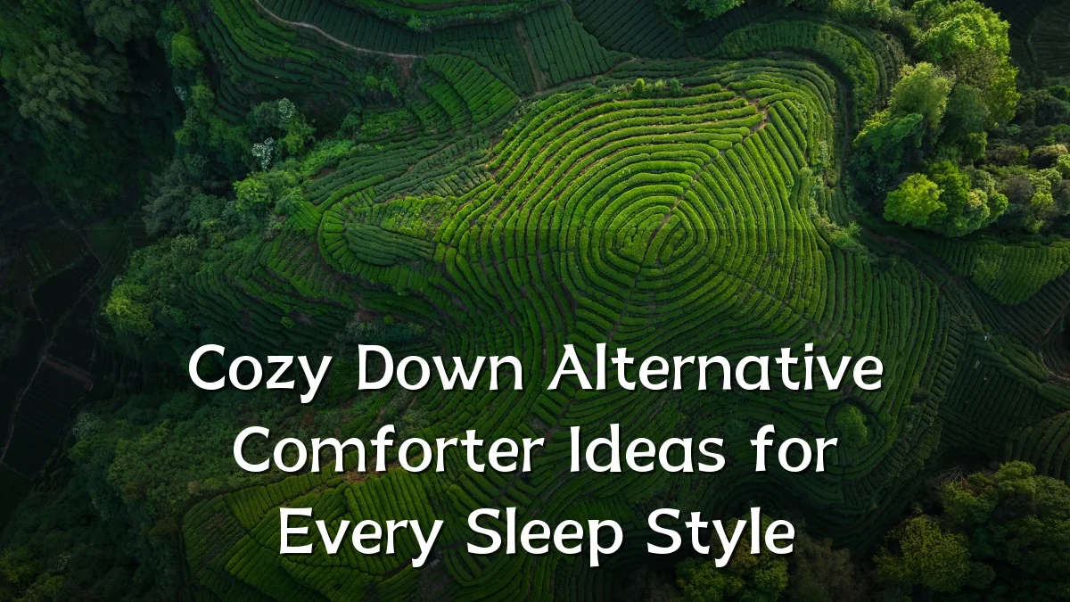Cozy Down Alternative Comforter Ideas for Every Sleep Style