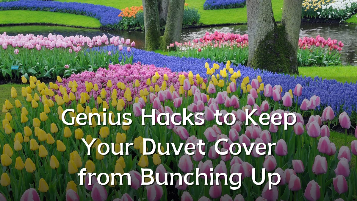 Genius Hacks to Keep Your Duvet Cover from Bunching Up