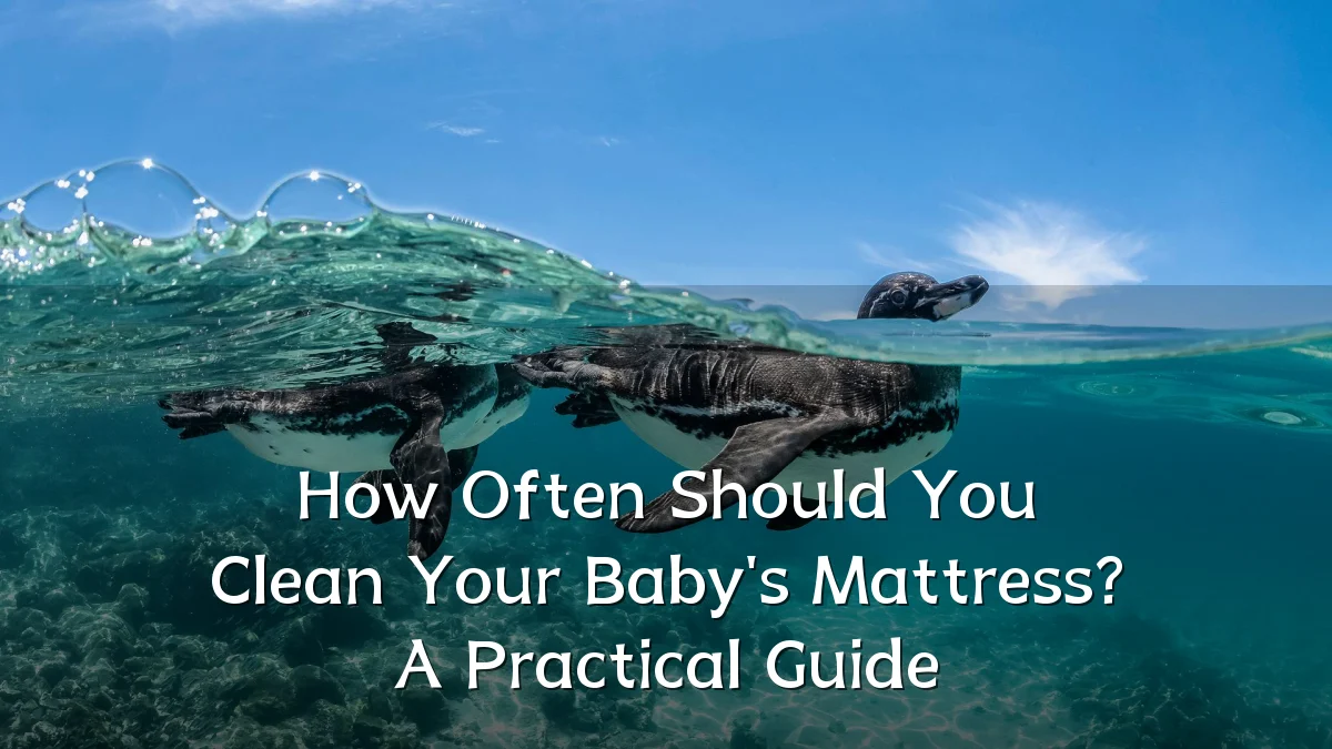 How Often Should You Clean Your Baby's Mattress? A Practical Guide