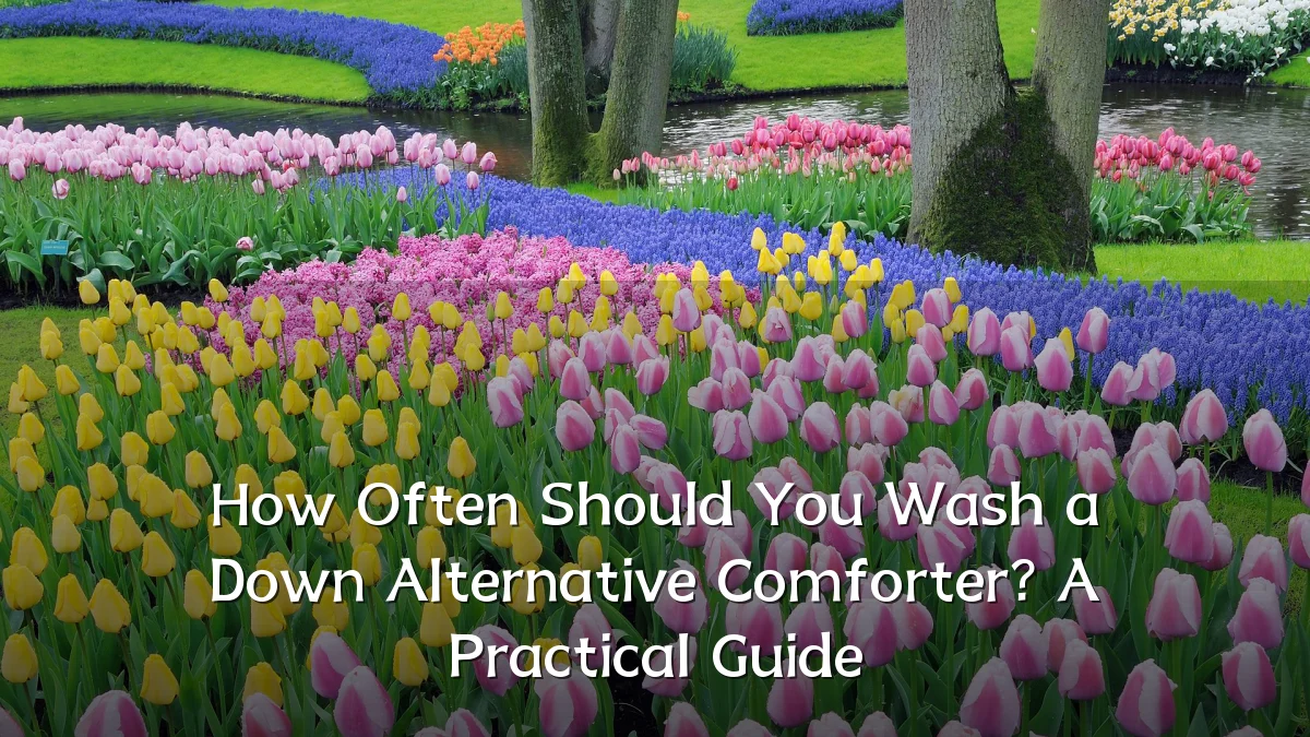 How Often Should You Wash a Down Alternative Comforter? A Practical Guide