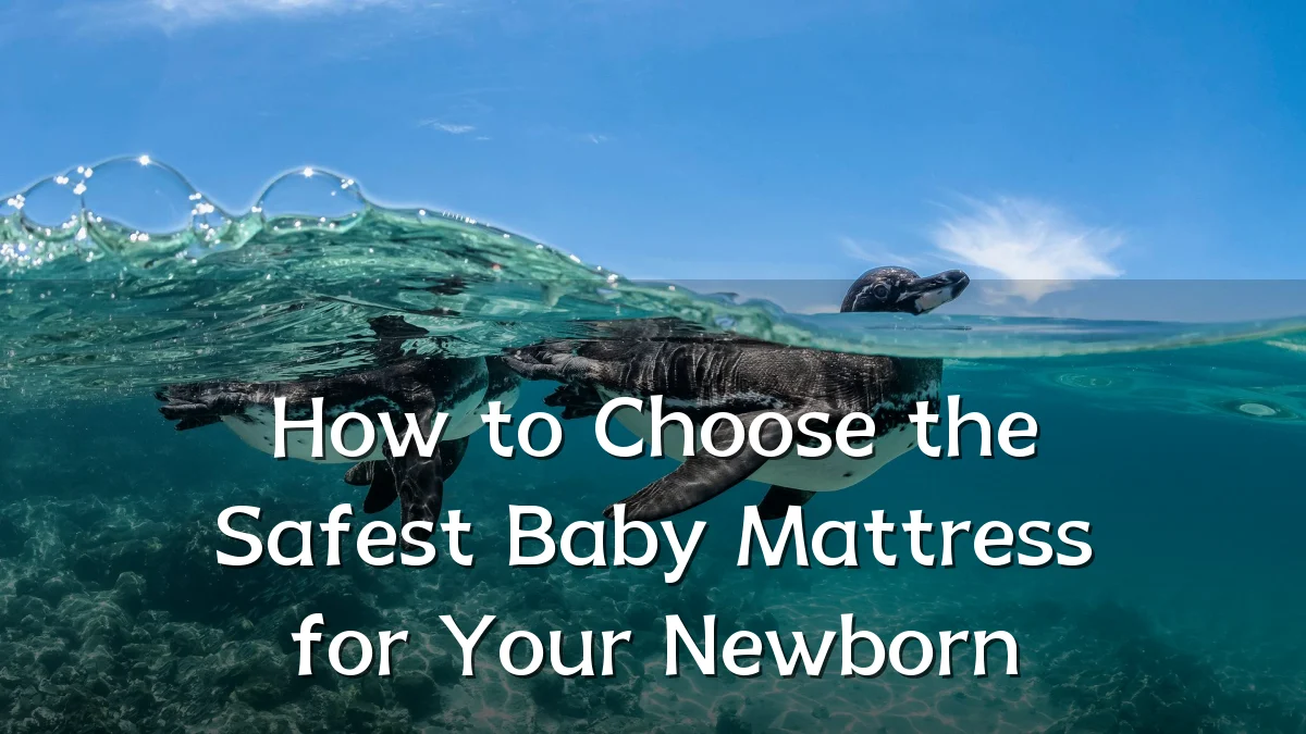 How to Choose the Safest Baby Mattress for Your Newborn