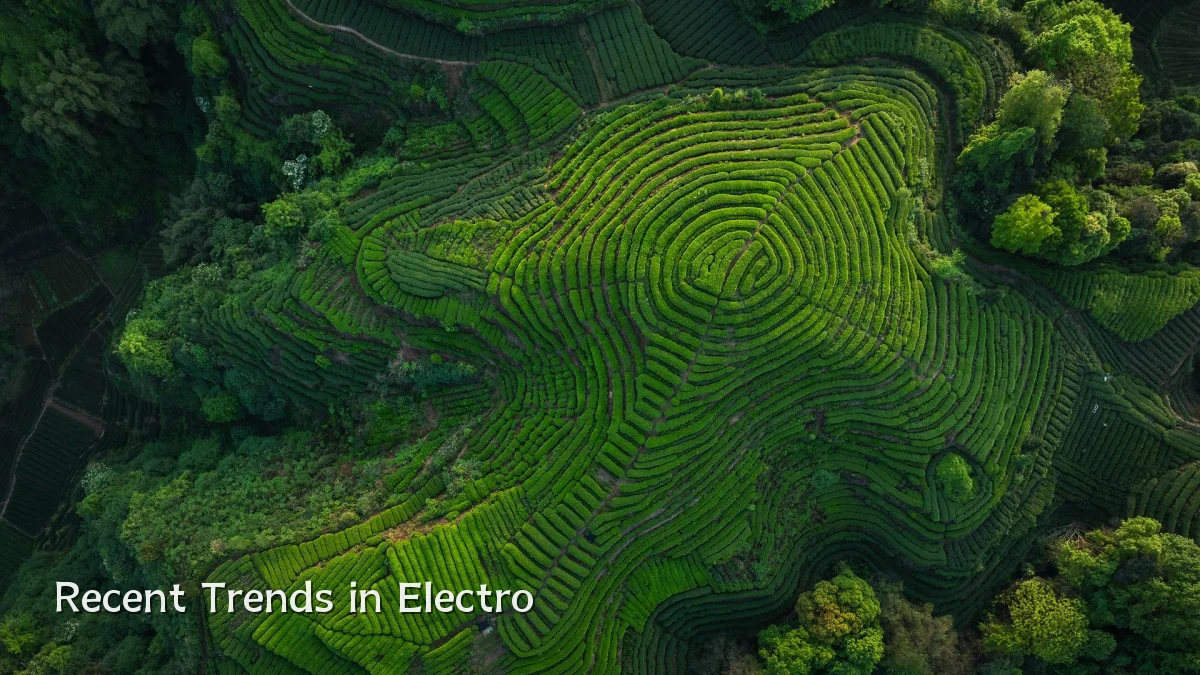 Recent Trends in Electro