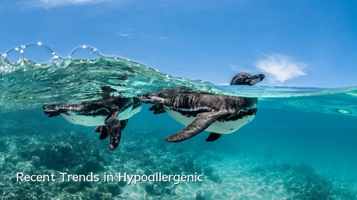 Recent Trends in Hypoallergenic