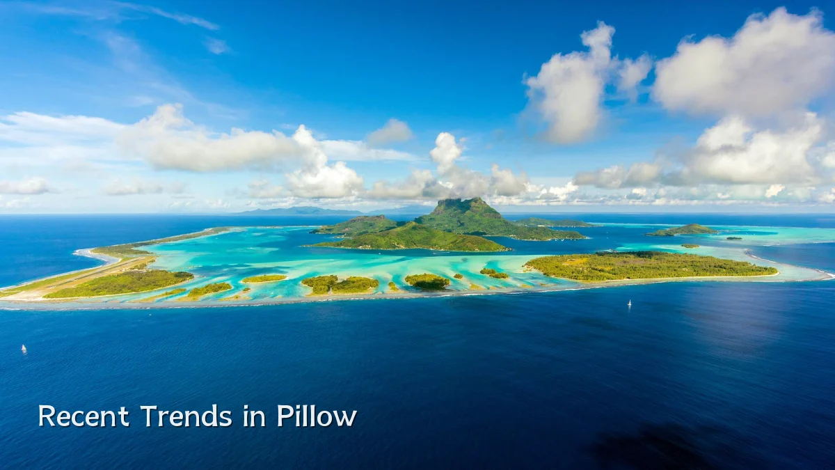 Recent Trends in Pillow