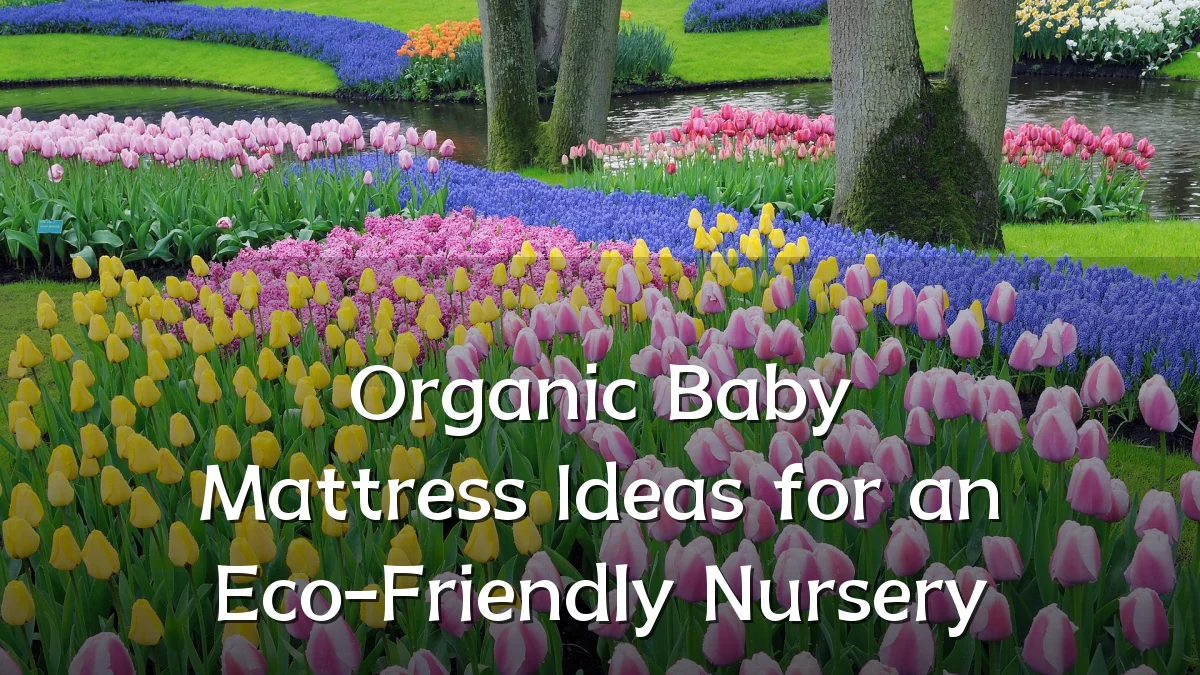 Organic Baby Mattress Ideas for an Eco-Friendly Nursery