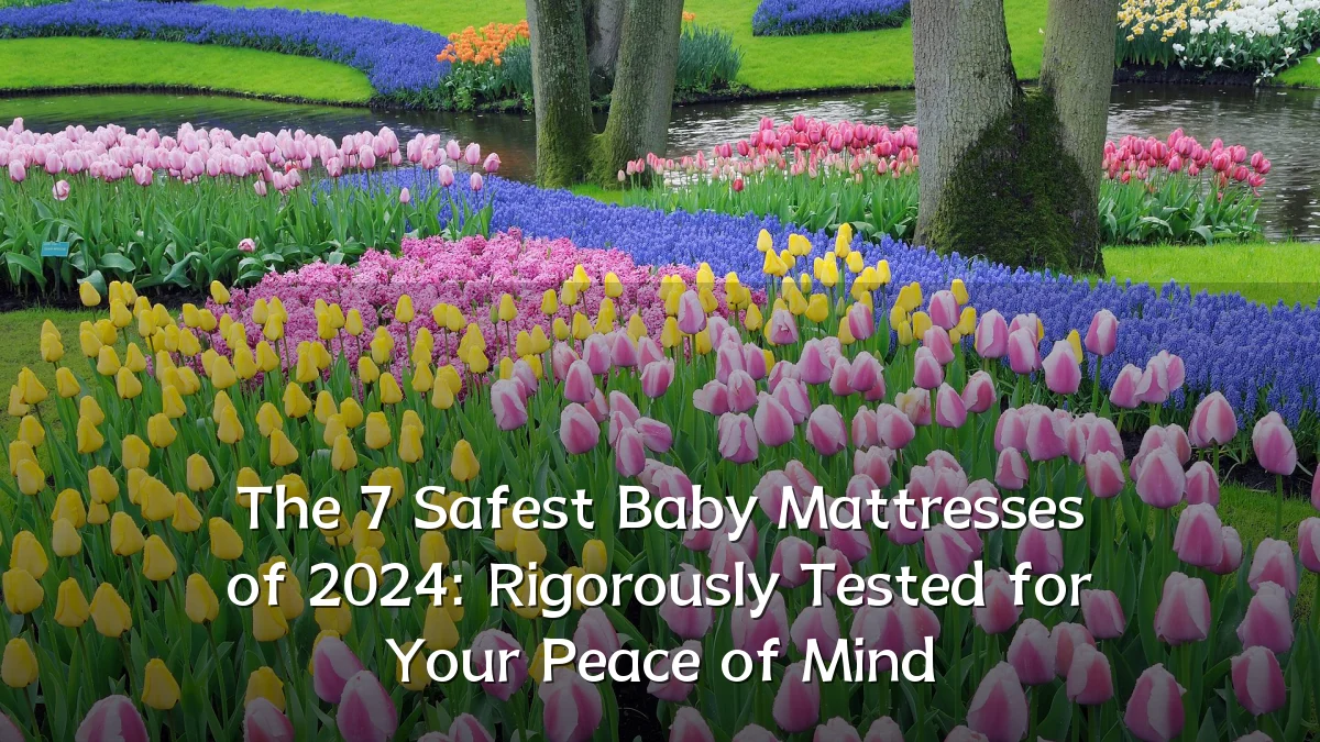 The 7 Safest Baby Mattresses of 2024: Rigorously Tested for Your Peace of Mind