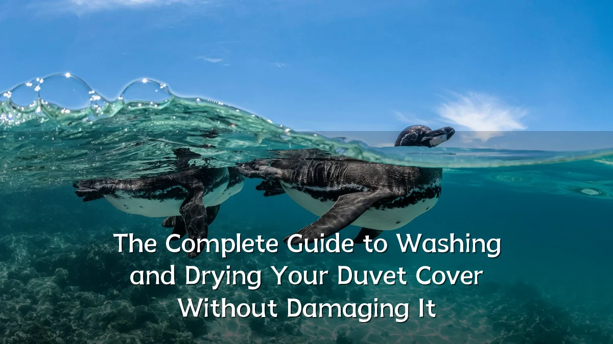 The Complete Guide to Washing and Drying Your Duvet Cover Without Damaging It