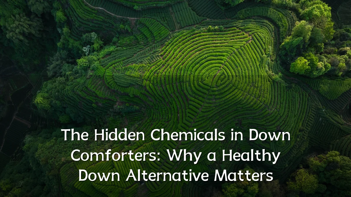 The Hidden Chemicals in Down Comforters: Why a Healthy Down Alternative Matters
