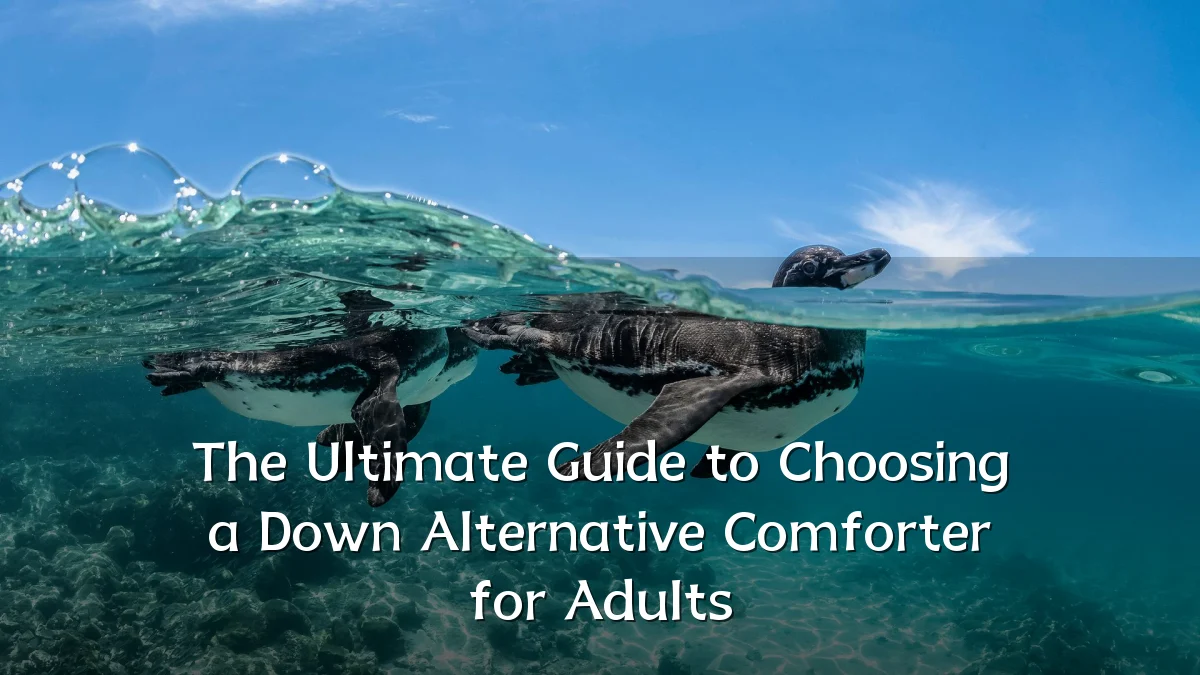 The Ultimate Guide to Choosing a Down Alternative Comforter for Adults