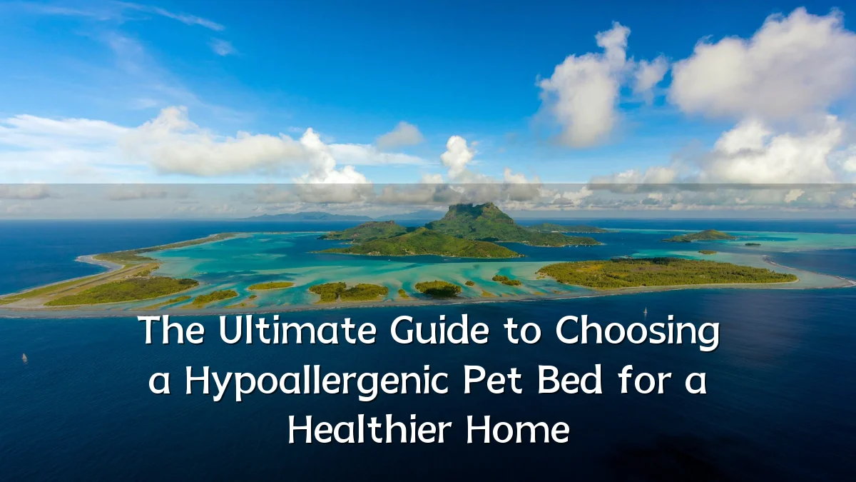 The Ultimate Guide to Choosing a Hypoallergenic Pet Bed for a Healthier Home