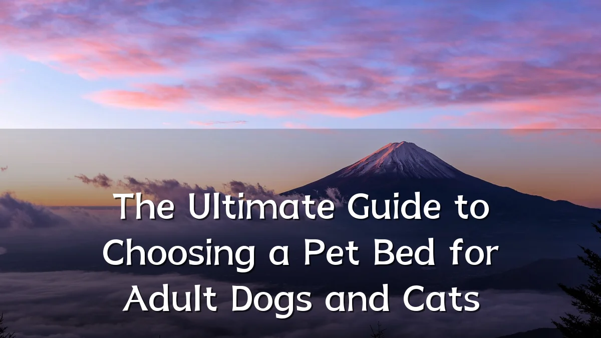The Ultimate Guide to Choosing a Pet Bed for Adult Dogs and Cats