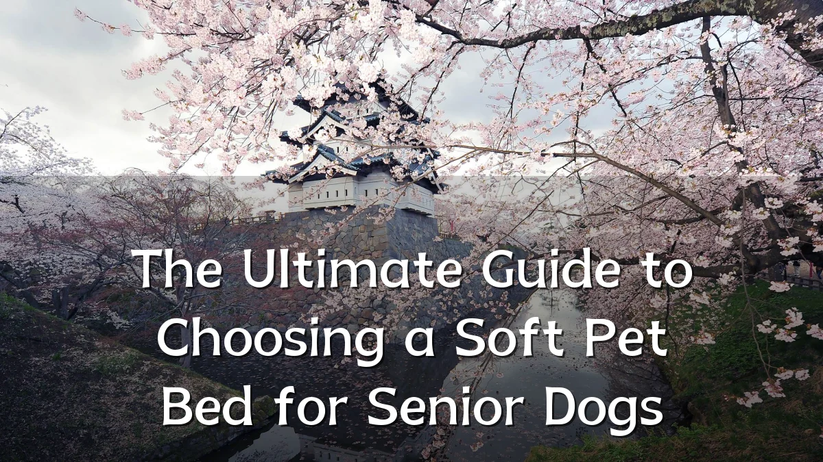 The Ultimate Guide to Choosing a Soft Pet Bed for Senior Dogs