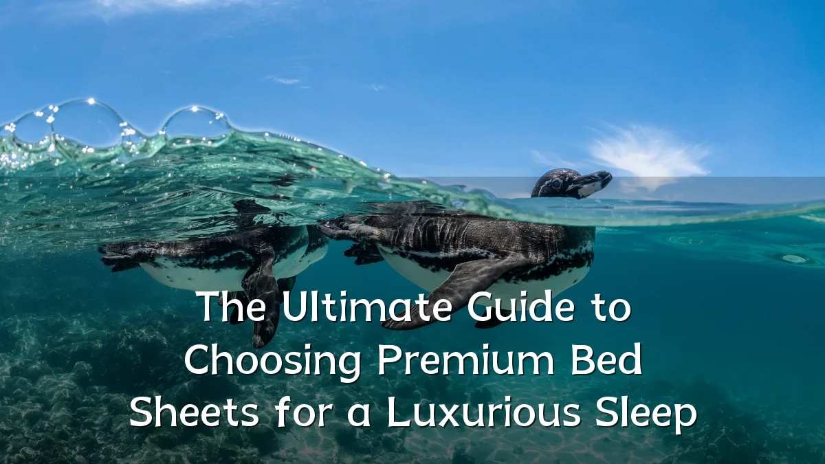 The Ultimate Guide to Choosing Premium Bed Sheets for a Luxurious Sleep