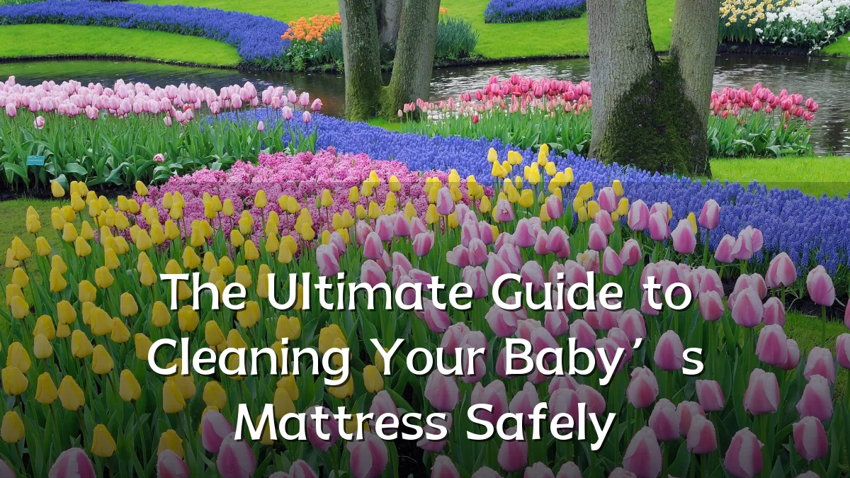 The Ultimate Guide to Cleaning Your Baby’s Mattress Safely