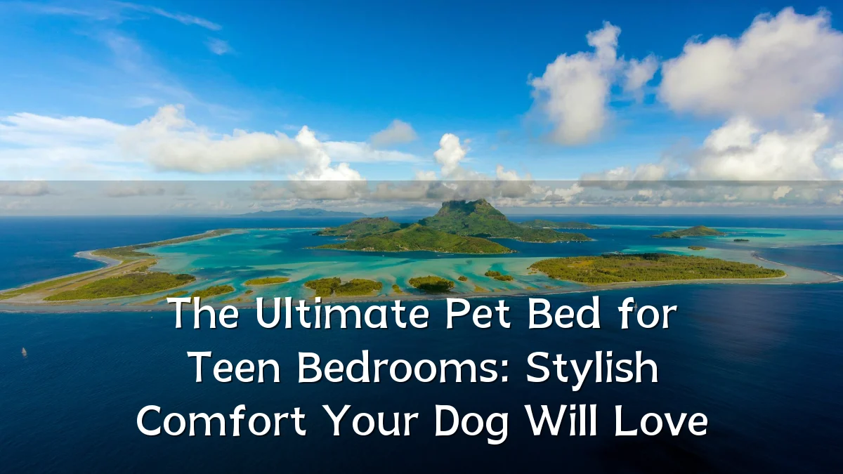 The Ultimate Pet Bed for Teen Bedrooms: Stylish Comfort Your Dog Will Love