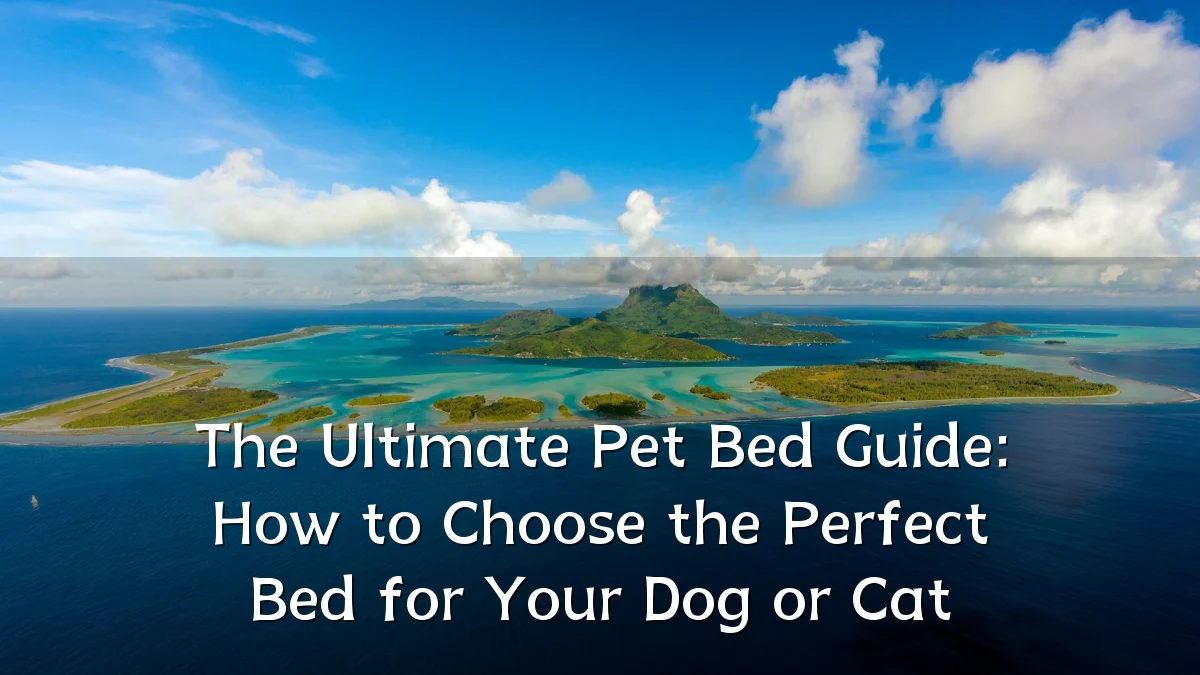 The Ultimate Pet Bed Guide: How to Choose the Perfect Bed for Your Dog or Cat