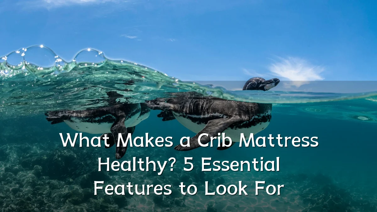 What Makes a Crib Mattress Healthy? 5 Essential Features to Look For