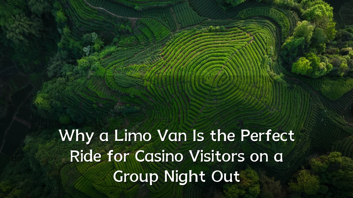 Why a Limo Van Is the Perfect Ride for Casino Visitors on a Group Night Out