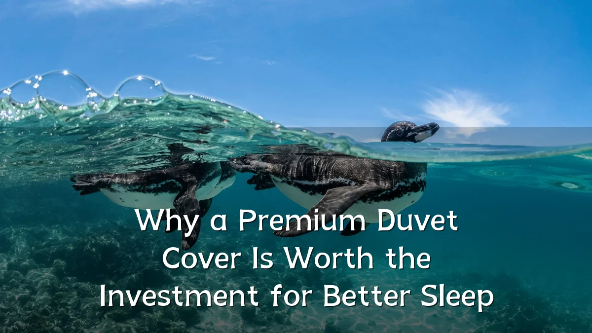 Why a Premium Duvet Cover Is Worth the Investment for Better Sleep