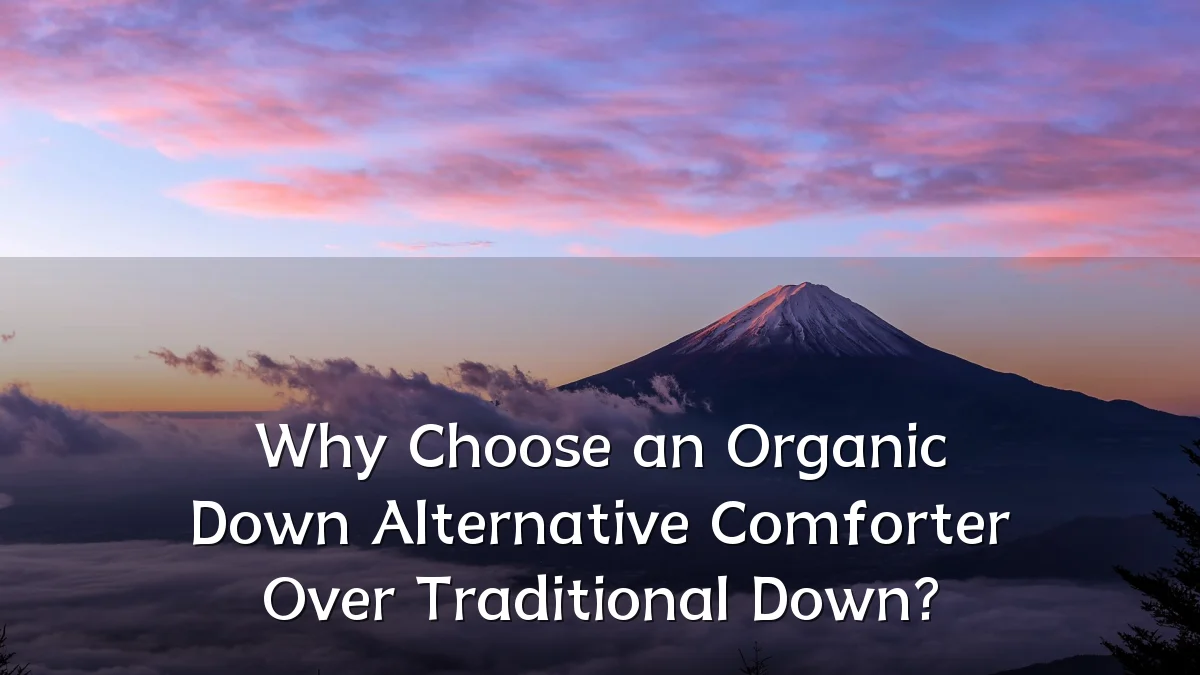 Why Choose an Organic Down Alternative Comforter Over Traditional Down?