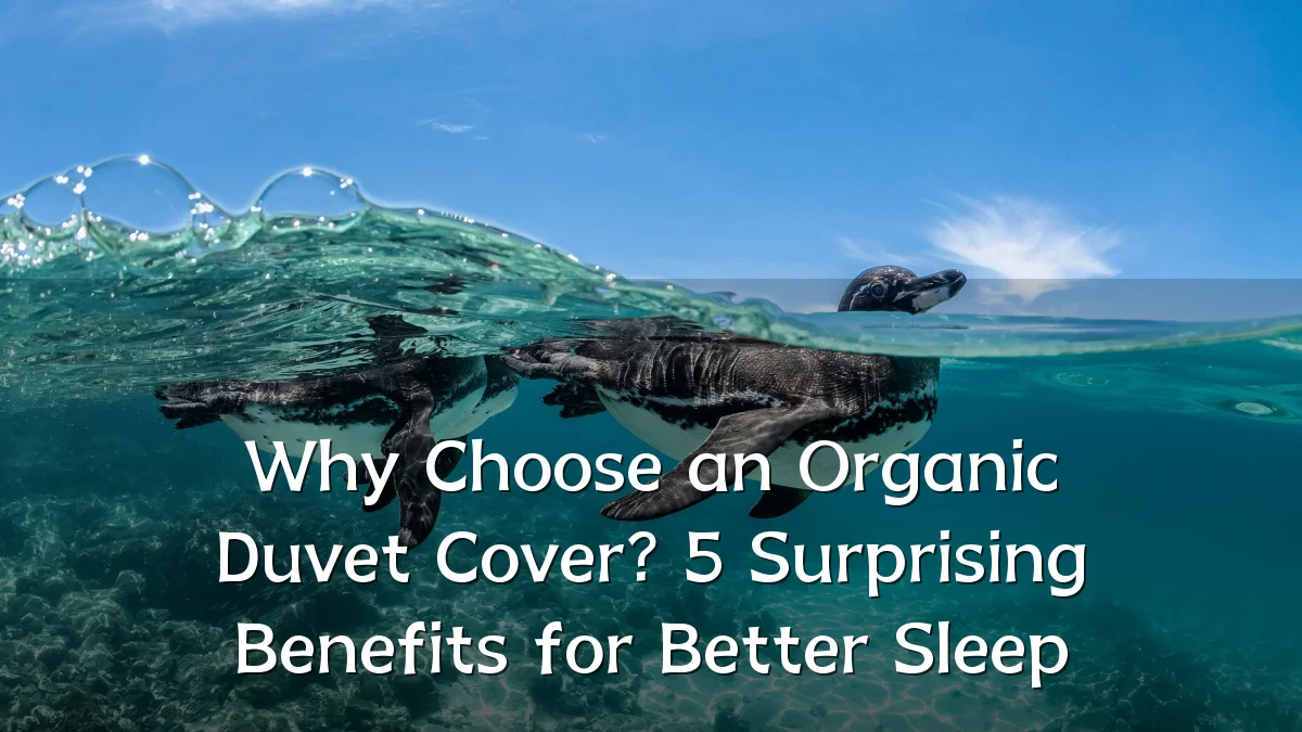 Why Choose an Organic Duvet Cover? 5 Surprising Benefits for Better Sleep