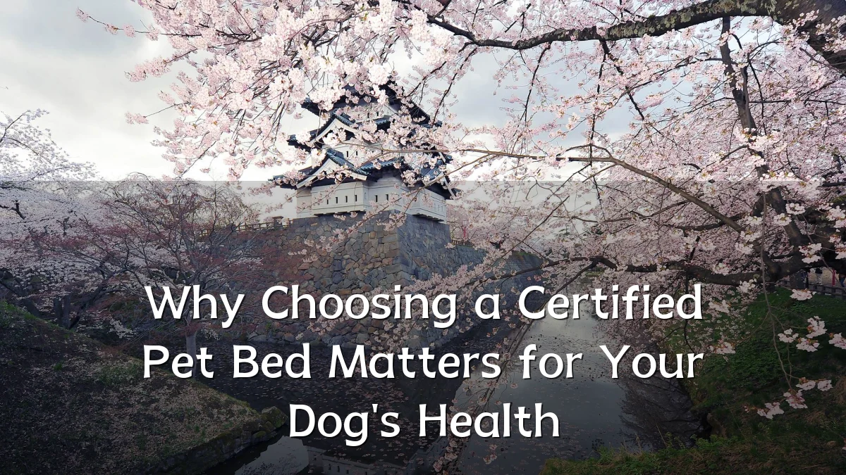 Why Choosing a Certified Pet Bed Matters for Your Dog's Health