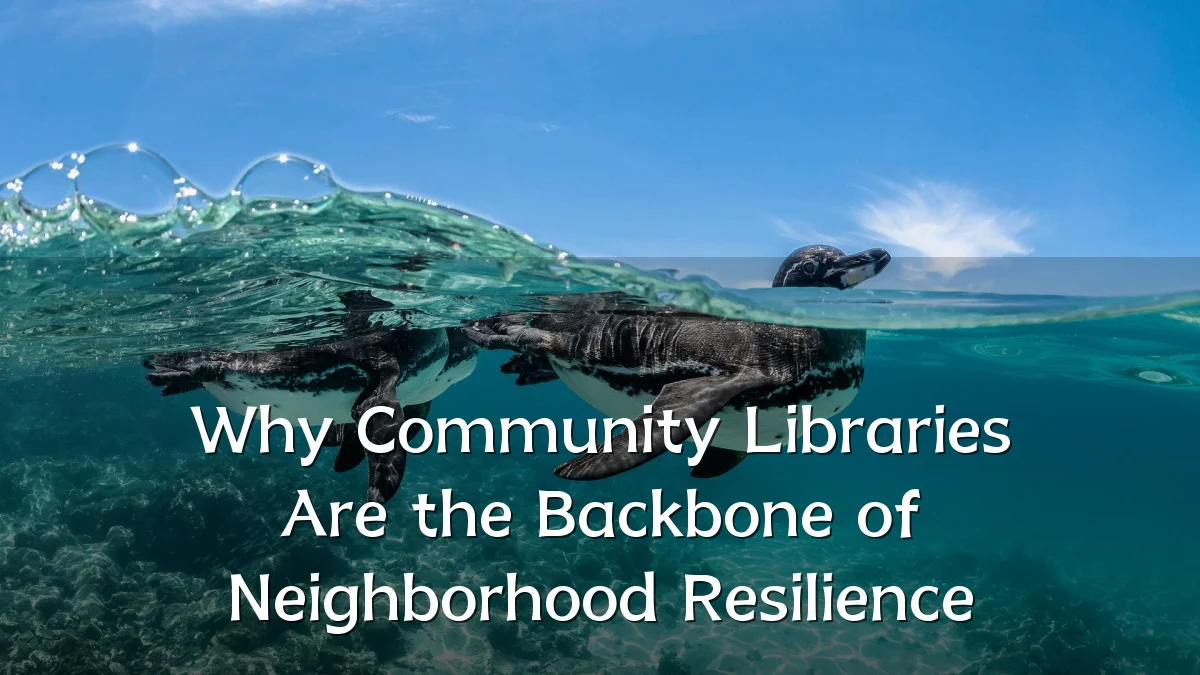 Why Community Libraries Are the Backbone of Neighborhood Resilience