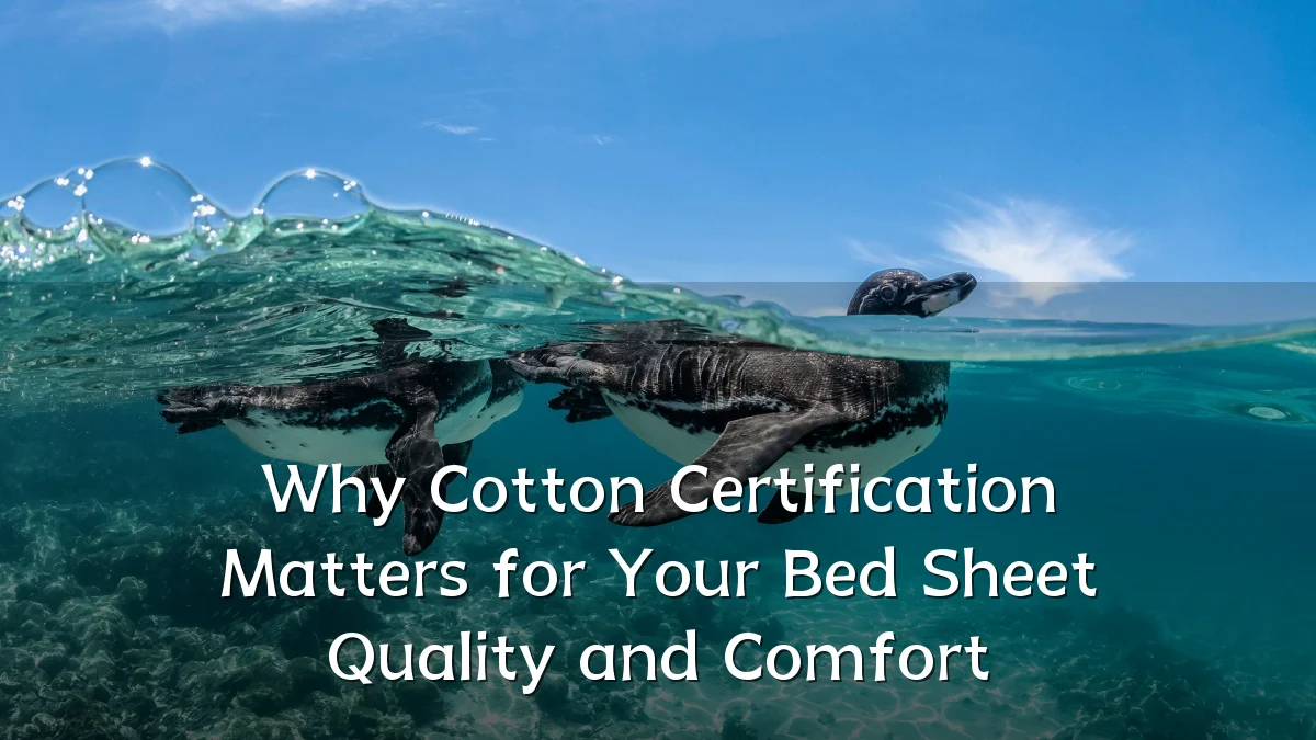 Why Cotton Certification Matters for Your Bed Sheet Quality and Comfort
