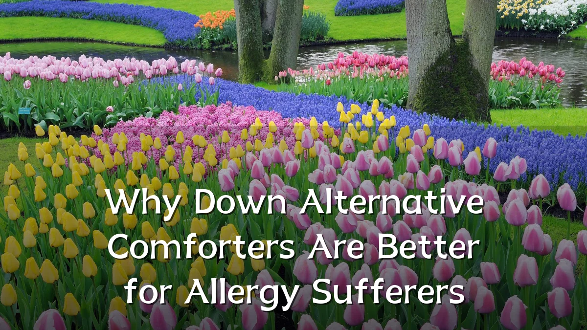 Why Down Alternative Comforters Are Better for Allergy Sufferers