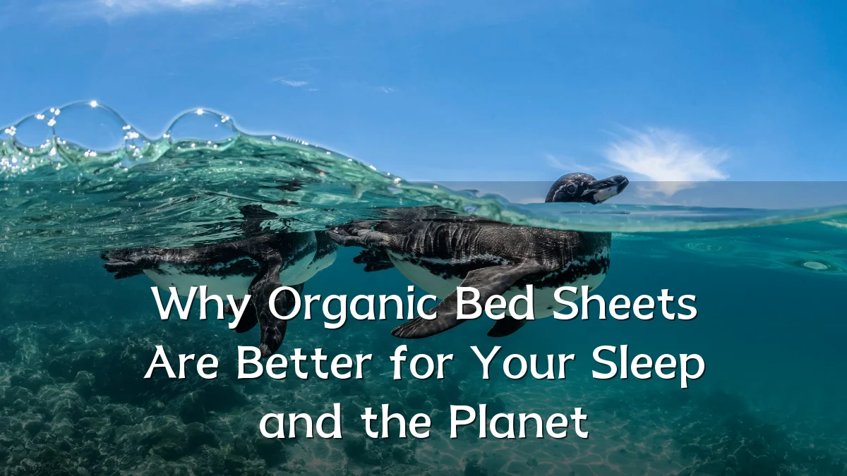 Why Organic Bed Sheets Are Better for Your Sleep and the Planet